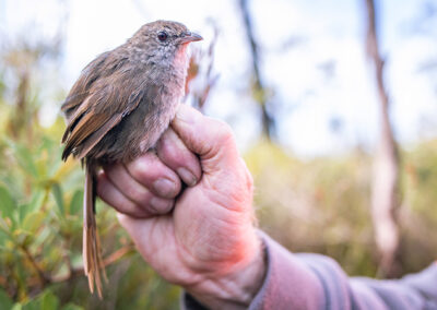 A NSW Government forum