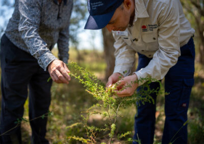 Facilitation of workshops for amendments to the Biodiversity Offset Payment Calculator